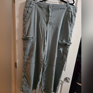 AE, Womens Cargo Pants, Blue/gray, Size 20